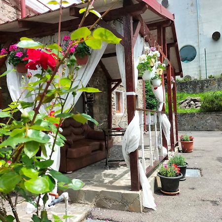 Casa Olguta Apartment Синая Екстериор снимка
