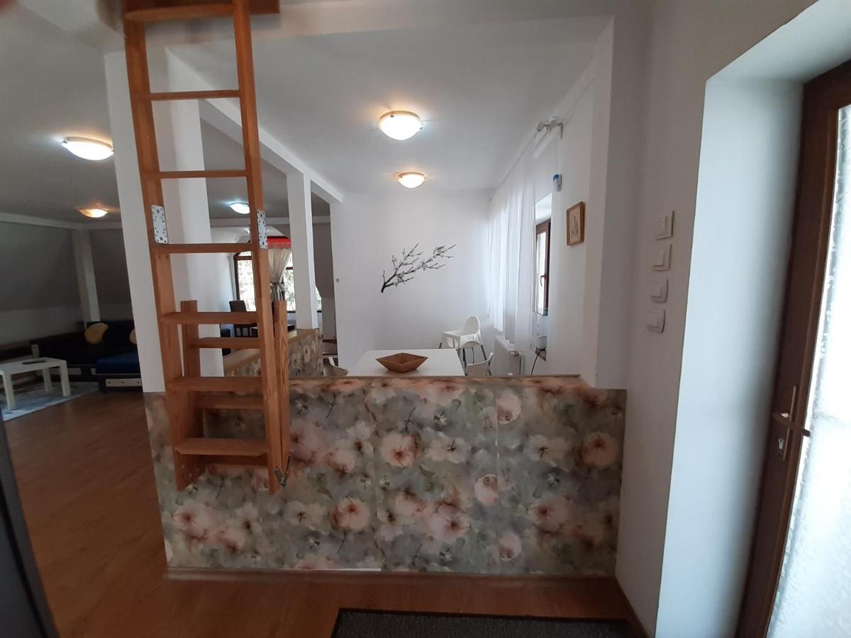 Casa Olguta Apartment Синая Екстериор снимка