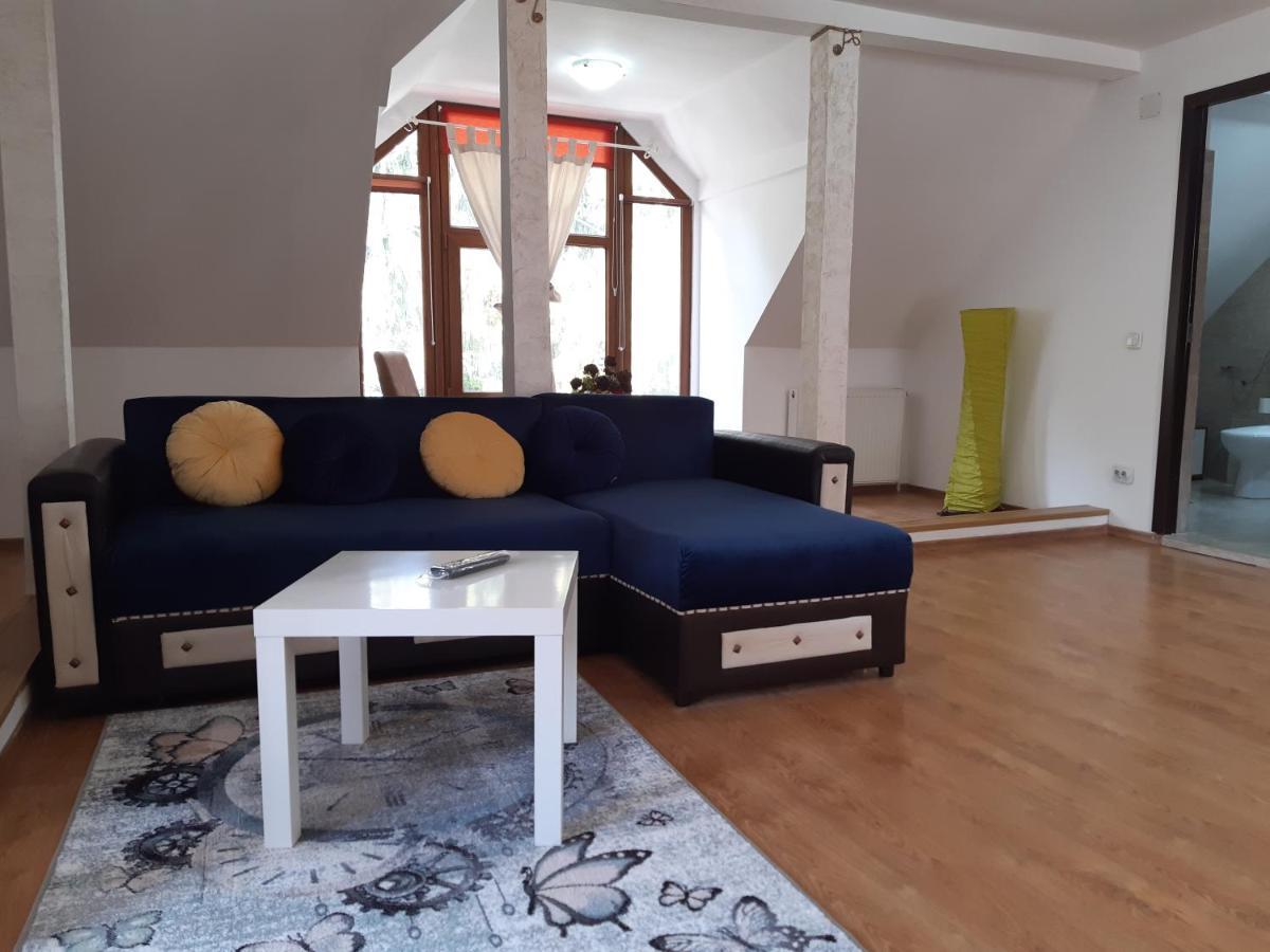 Casa Olguta Apartment Синая Екстериор снимка
