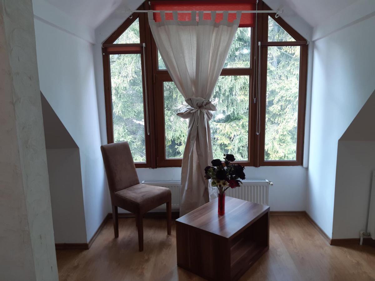 Casa Olguta Apartment Синая Екстериор снимка