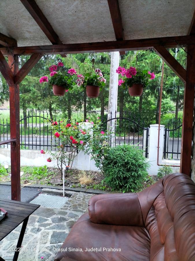 Casa Olguta Apartment Синая Екстериор снимка