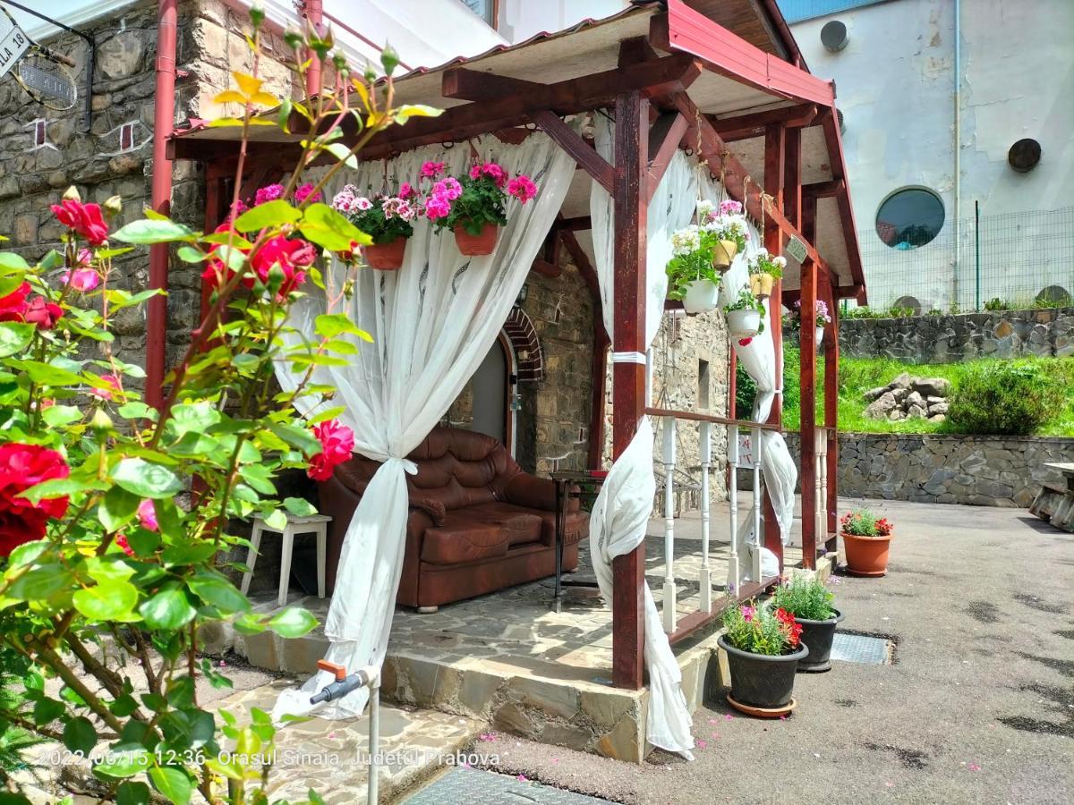 Casa Olguta Apartment Синая Екстериор снимка