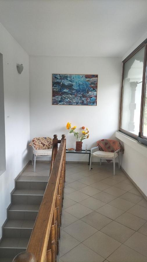 Casa Olguta Apartment Синая Екстериор снимка
