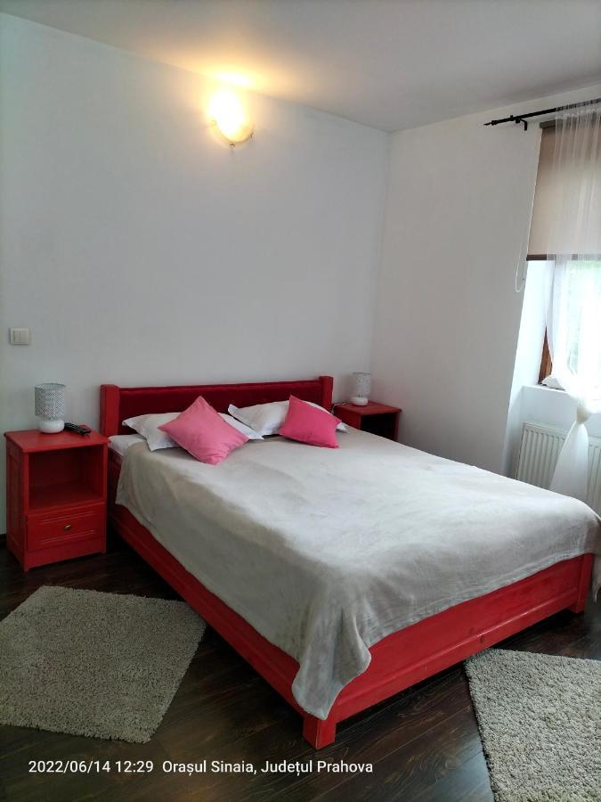 Casa Olguta Apartment Синая Екстериор снимка