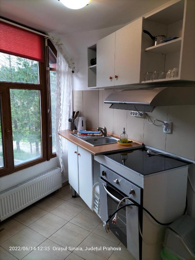 Casa Olguta Apartment Синая Екстериор снимка