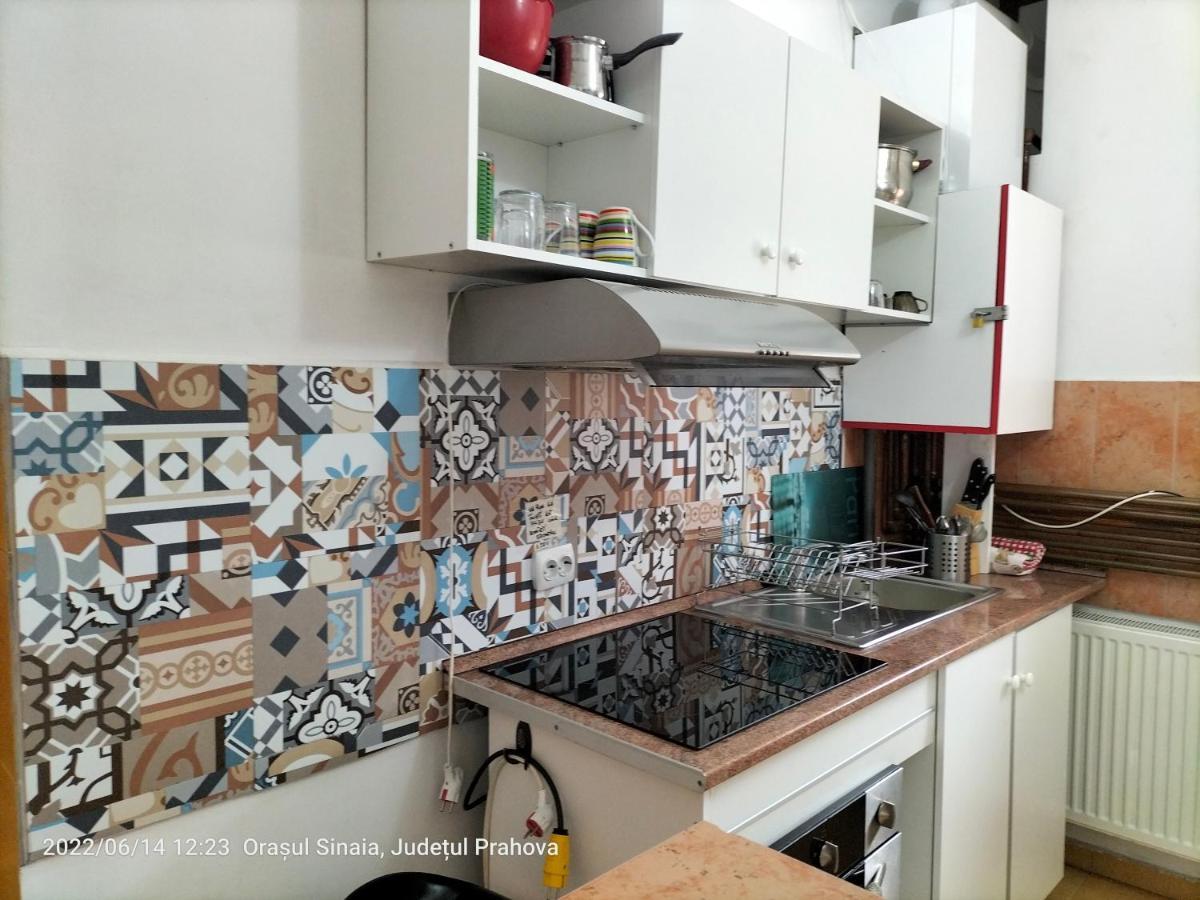 Casa Olguta Apartment Синая Екстериор снимка