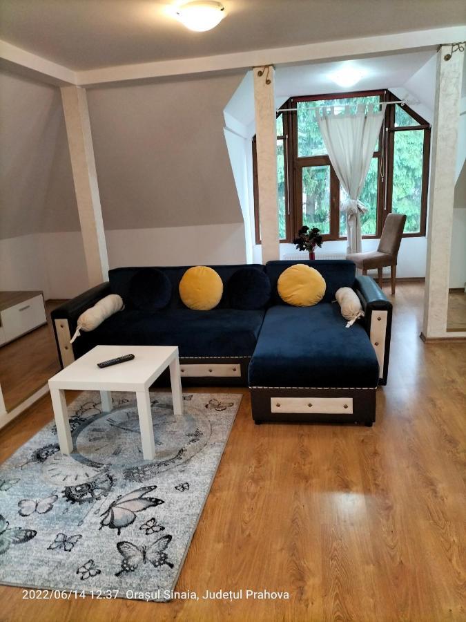 Casa Olguta Apartment Синая Екстериор снимка