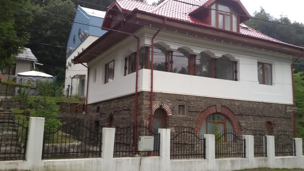 Casa Olguta Apartment Синая Екстериор снимка