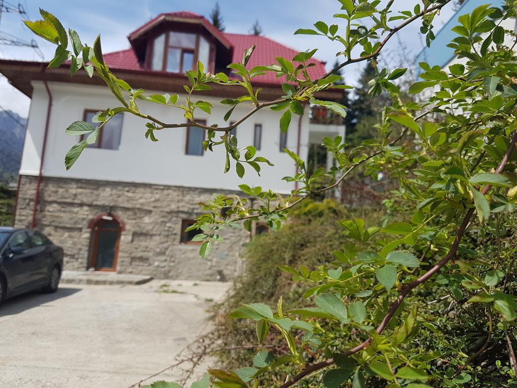Casa Olguta Apartment Синая Екстериор снимка