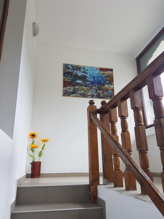 Casa Olguta Apartment Синая Екстериор снимка